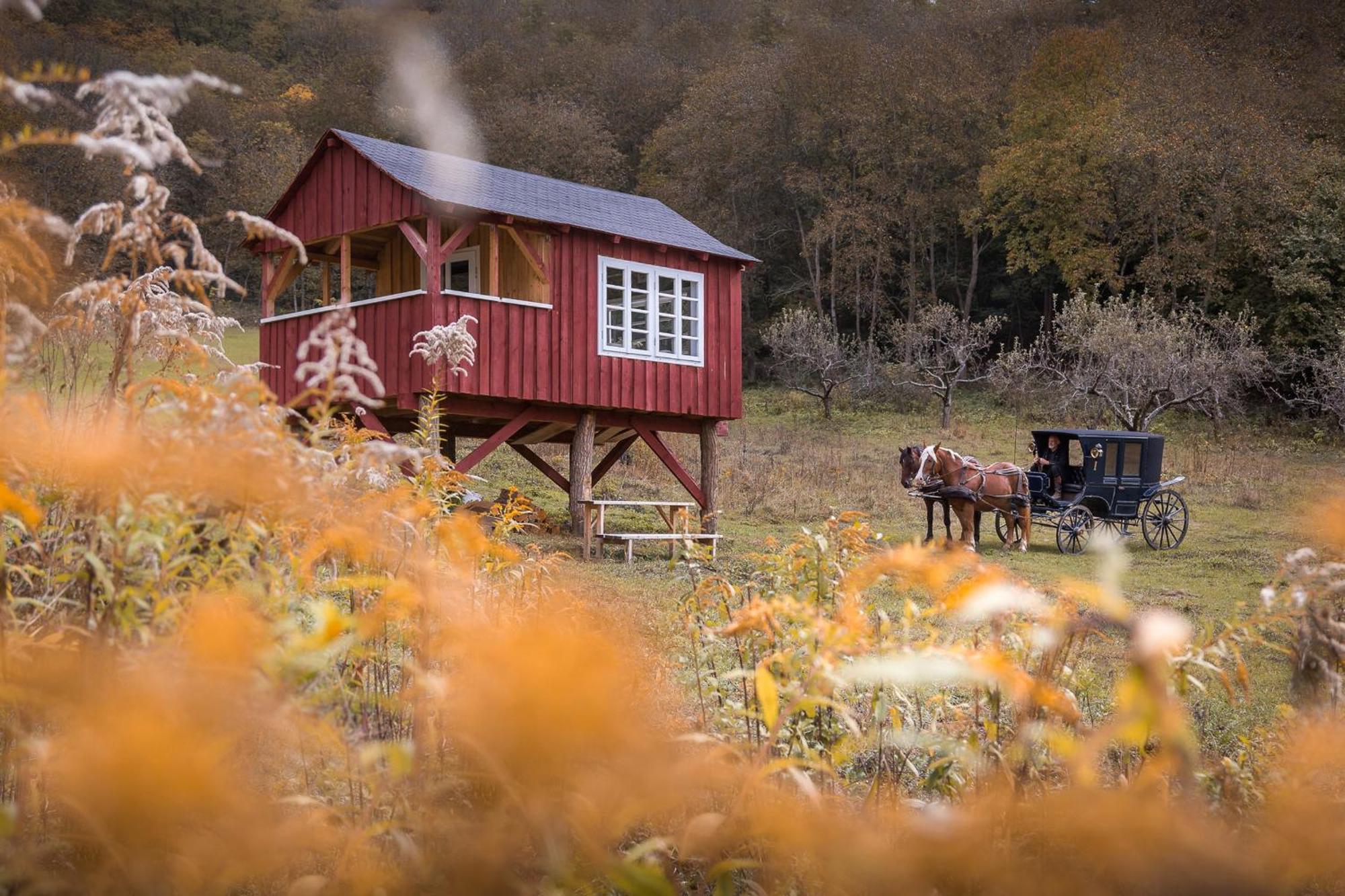 Valea Verde Retreat Transilvania Cund Exterior photo